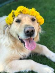 Alisa od �pat� Sp�len�ku